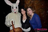 Photo 77 - BUNNIES PARTY