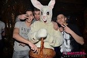 Photo 78 - BUNNIES PARTY