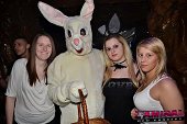 Photo 79 - BUNNIES PARTY