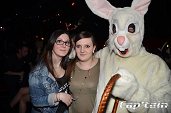 Photo 93 - BUNNIES PARTY