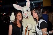 Photo 94 - BUNNIES PARTY