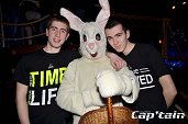 Photo 104 - BUNNIES PARTY