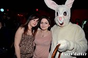 Photo 105 - BUNNIES PARTY