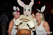 Photo 106 - BUNNIES PARTY