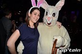 Photo 113 - BUNNIES PARTY