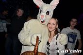 Photo 118 - BUNNIES PARTY