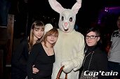 Photo 125 - BUNNIES PARTY