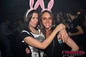 Photo 218 - BUNNIES PARTY