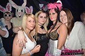 Photo 228 - BUNNIES PARTY