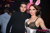 Photo 231 - BUNNIES PARTY