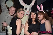 Photo 232 - BUNNIES PARTY