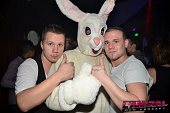Photo 233 - BUNNIES PARTY