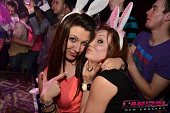 Photo 243 - BUNNIES PARTY
