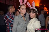 Photo 249 - BUNNIES PARTY