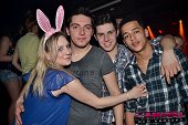 Photo 250 - BUNNIES PARTY