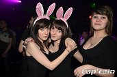 Photo 266 - BUNNIES PARTY