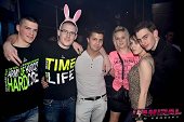 Photo 306 - BUNNIES PARTY