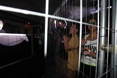 Photo 214 - Paparazzi PARTY