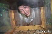 Photo 242 - PANIC ROOM