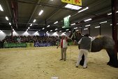 Photo 88 - Salon de l'élevage et de l'agriculture