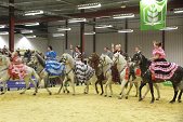 Photo 250 - Salon de l'élevage et de l'agriculture