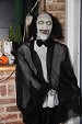 Photo 114 -  Patr'Halloween