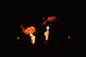 Photo 11 - Patr'Halloween