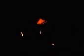 Photo 12 - Patr'Halloween