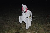 Photo 30 - Patr'Halloween