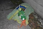 Photo 46 - Patr'Halloween