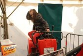 Photo 341 - Foire d'hiver - les mordus de l'i-32