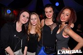 Photo 218 - SPRINGBREAK 2014
