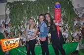 Photo 121 - Welcome to the jungle