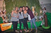 Photo 126 - Welcome to the jungle
