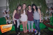 Photo 130 - Welcome to the jungle