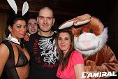 Photo 13 - BUNNIES PARTY
