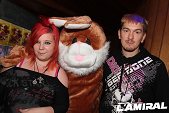 Photo 14 - BUNNIES PARTY
