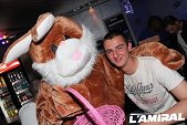 Photo 23 - BUNNIES PARTY