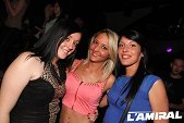 Photo 33 - BUNNIES PARTY