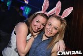 Photo 44 - BUNNIES PARTY