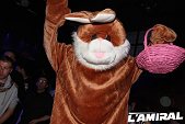 Photo 62 - BUNNIES PARTY