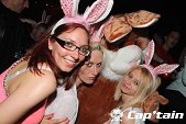 Photo 75 - BUNNIES PARTY