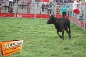Photo 7 - Feria Popuelles