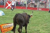 Photo 8 - Feria Popuelles