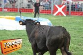 Photo 9 - Feria Popuelles