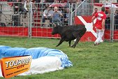 Photo 11 - Feria Popuelles