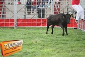 Photo 12 - Feria Popuelles