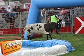 Photo 13 - Feria Popuelles