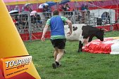 Photo 14 - Feria Popuelles