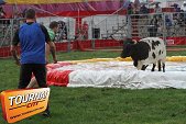 Photo 15 - Feria Popuelles